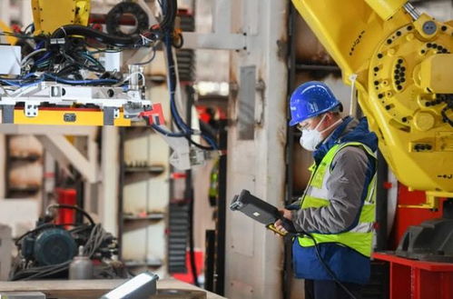 ?？飘厴I(yè)生的職業(yè)流向 數(shù)據(jù)揭示主流去向，過(guò)來(lái)人分享真實(shí)體會(huì)